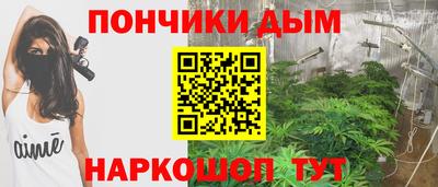 шишки Краснодар